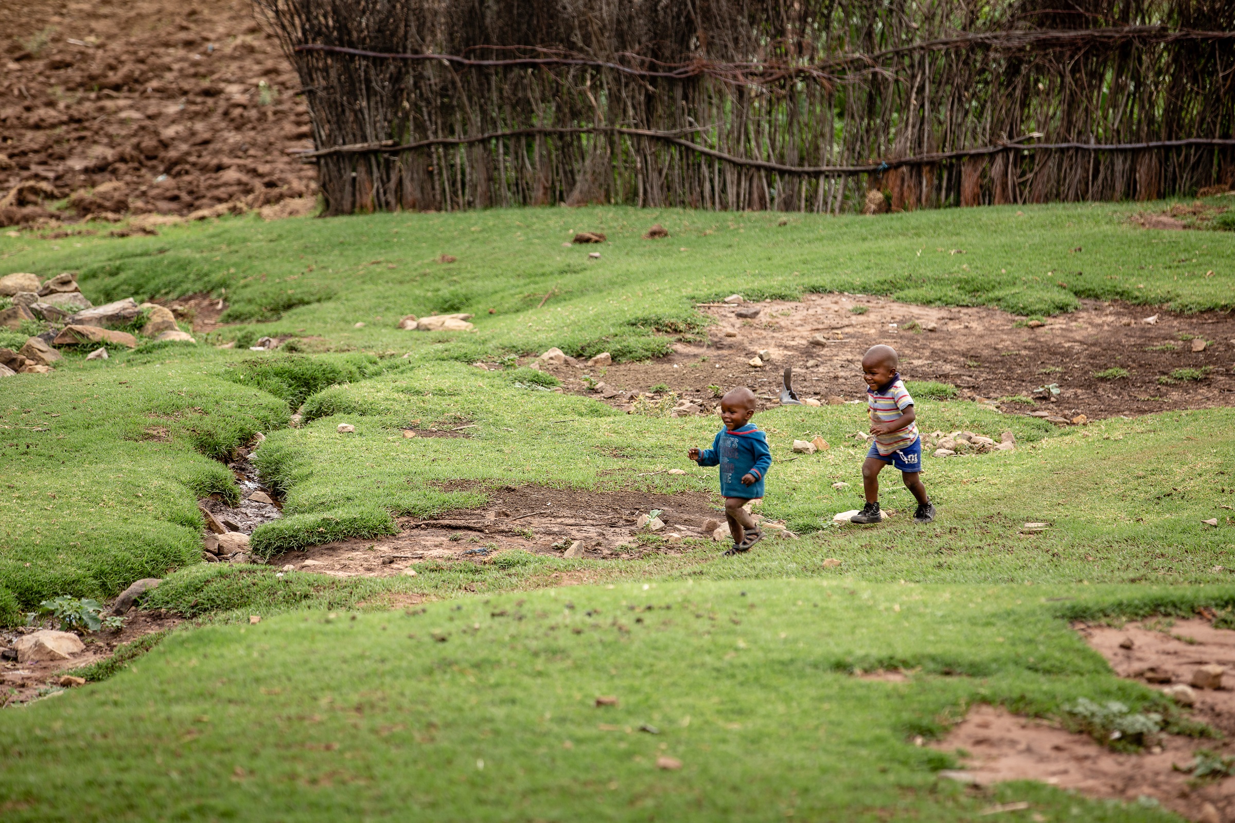 Children playing on grassfield